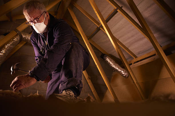 Best Residential Insulation in Hackleburg, AL