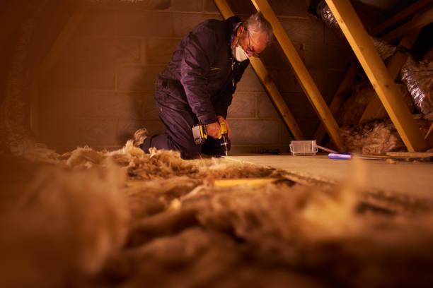 Best Insulation Materials and Products in Hackleburg, AL